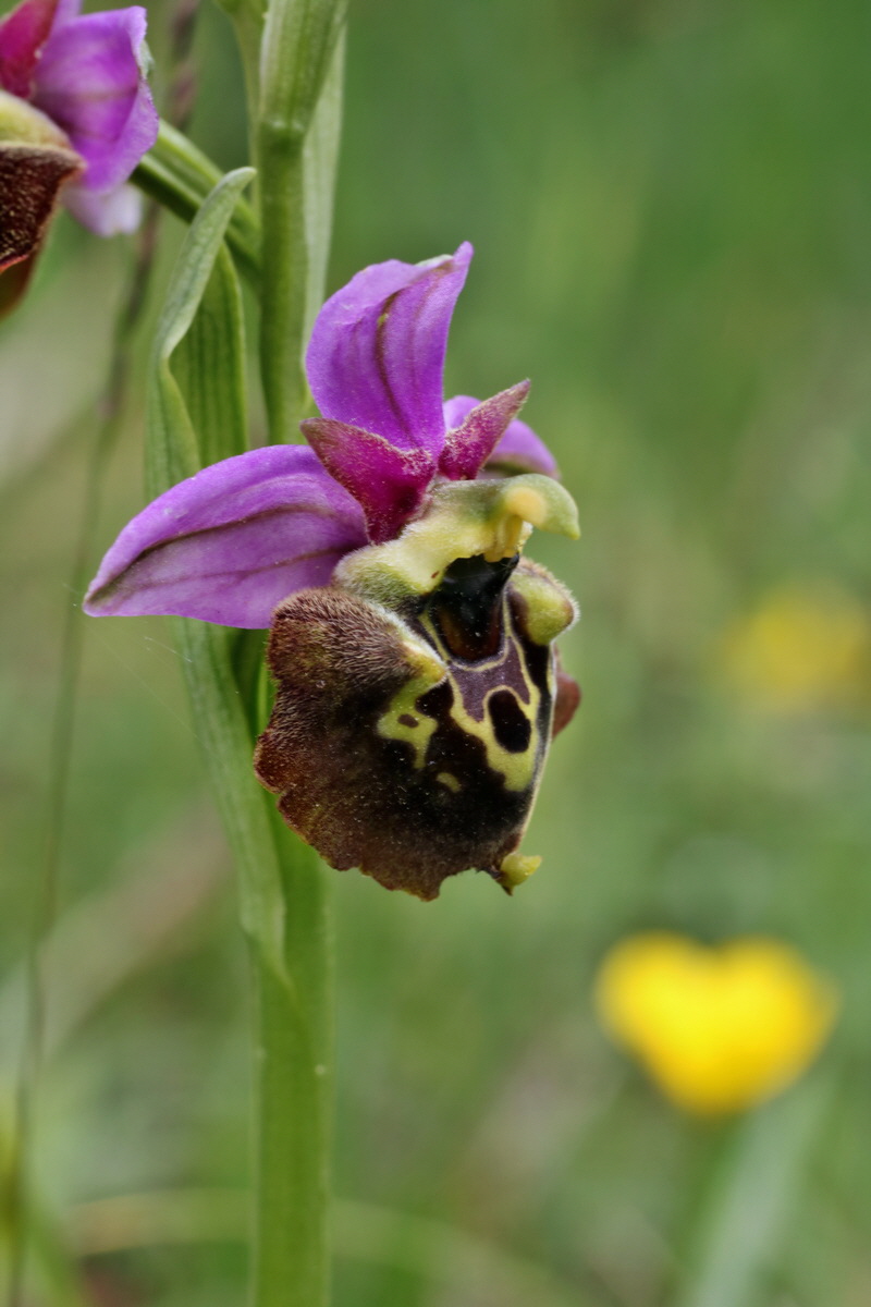 IMG-2015-06-01-00005599p_Bildgr��e �ndern