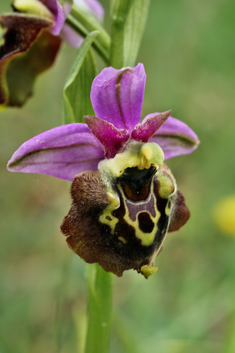 IMG-2015-06-01-00005604p_Bildgr��e �ndern