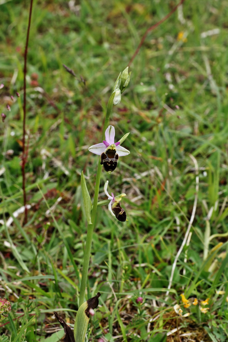 IMG-2015-06-01-00005606p_Bildgr��e �ndern