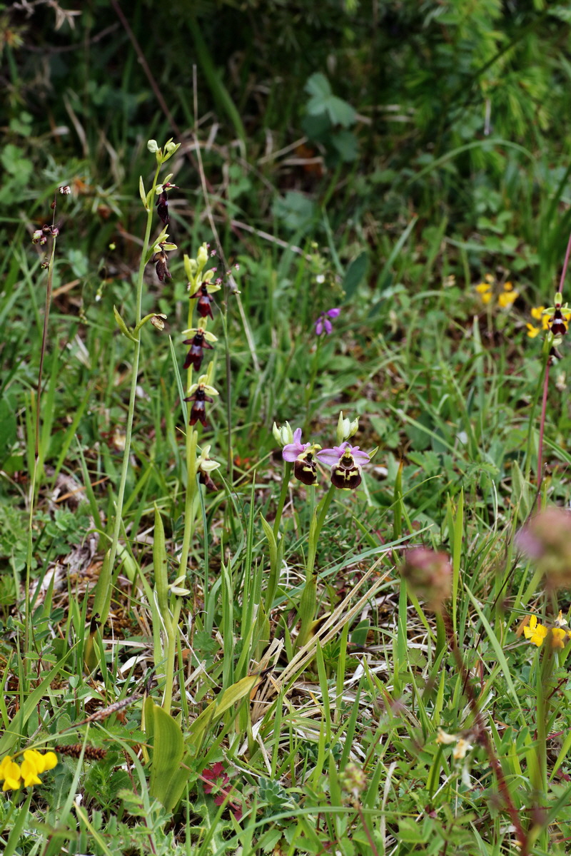 IMG-2015-06-01-00005612p_Bildgr��e �ndern