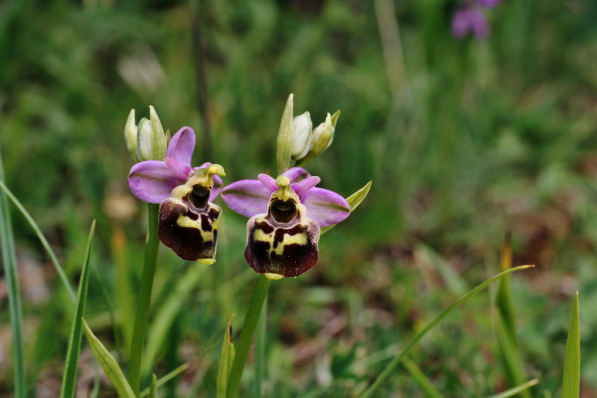 IMG-2015-06-01-00005614p_Bildgr��e �ndern