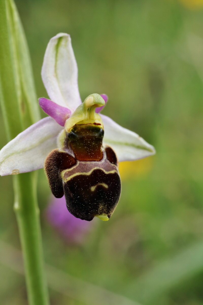 IMG-2015-06-01-00005624p_Bildgr��e �ndern