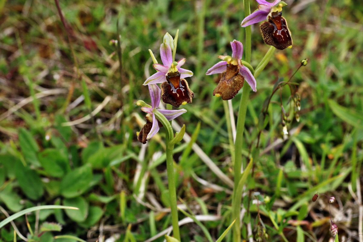 IMG-2015-06-01-00005630p_Bildgr��e �ndern