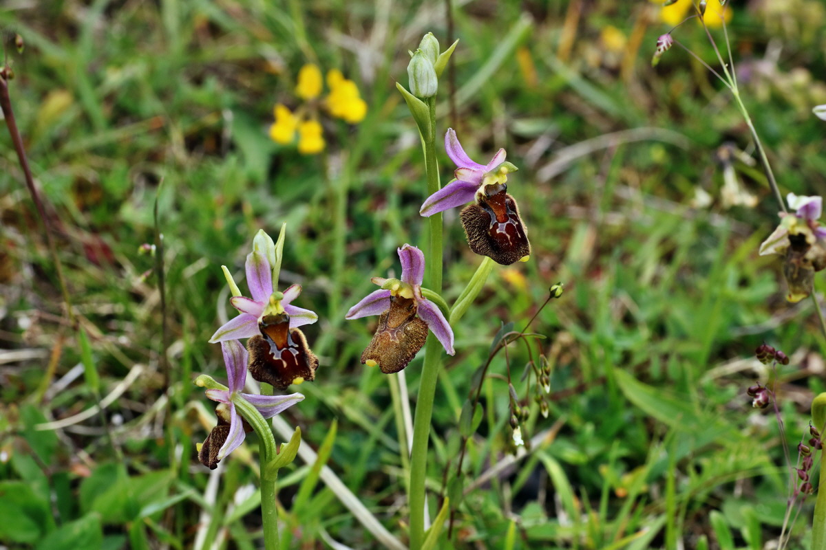 IMG-2015-06-01-00005634p_Bildgr��e �ndern