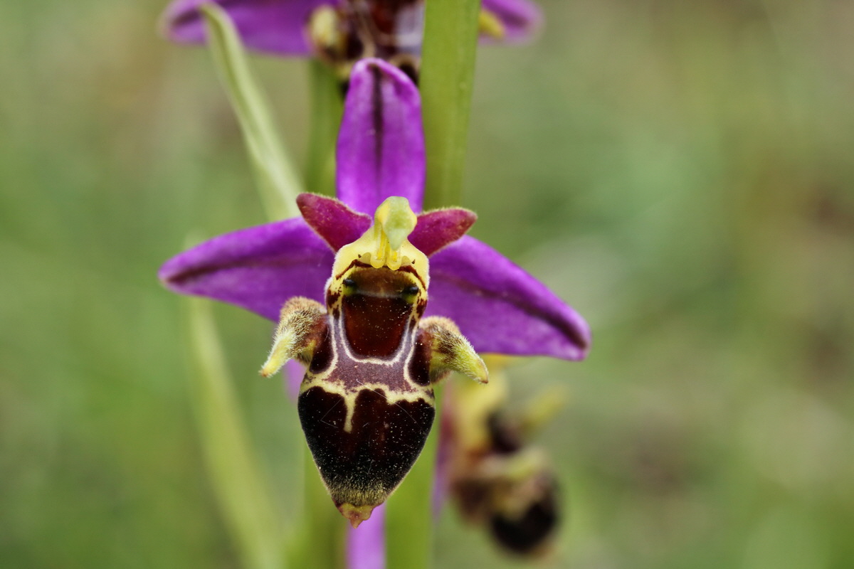 IMG-2015-06-01-00005636p_Bildgr��e �ndern