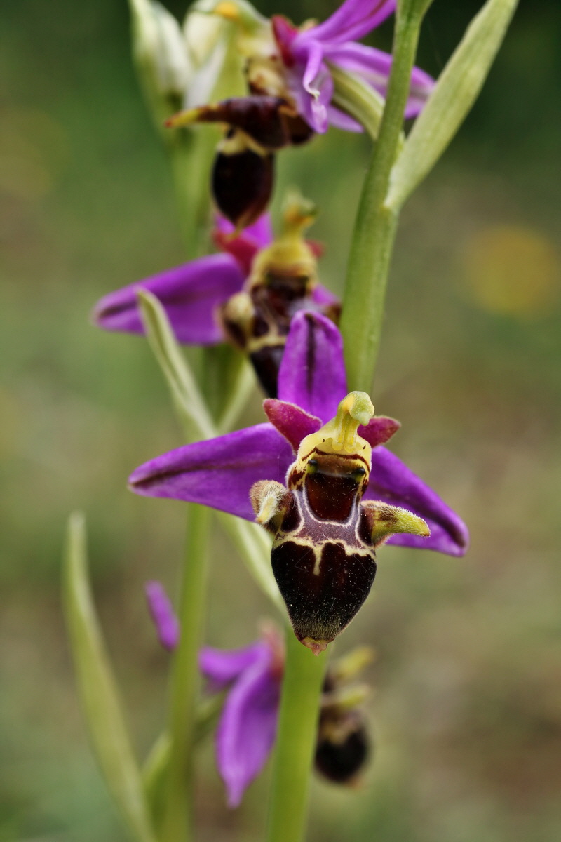 IMG-2015-06-01-00005639p_Bildgr��e �ndern