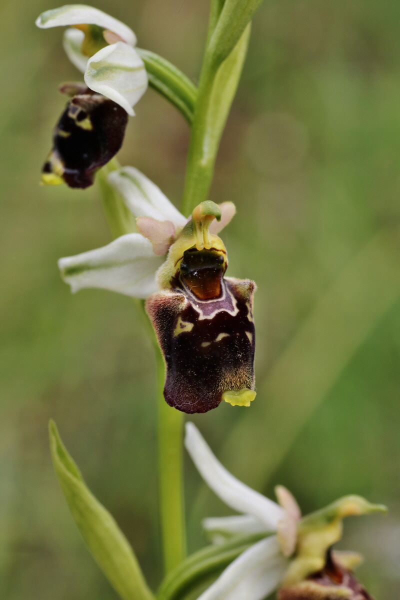 IMG-2015-06-01-00005642p_Bildgr��e �ndern