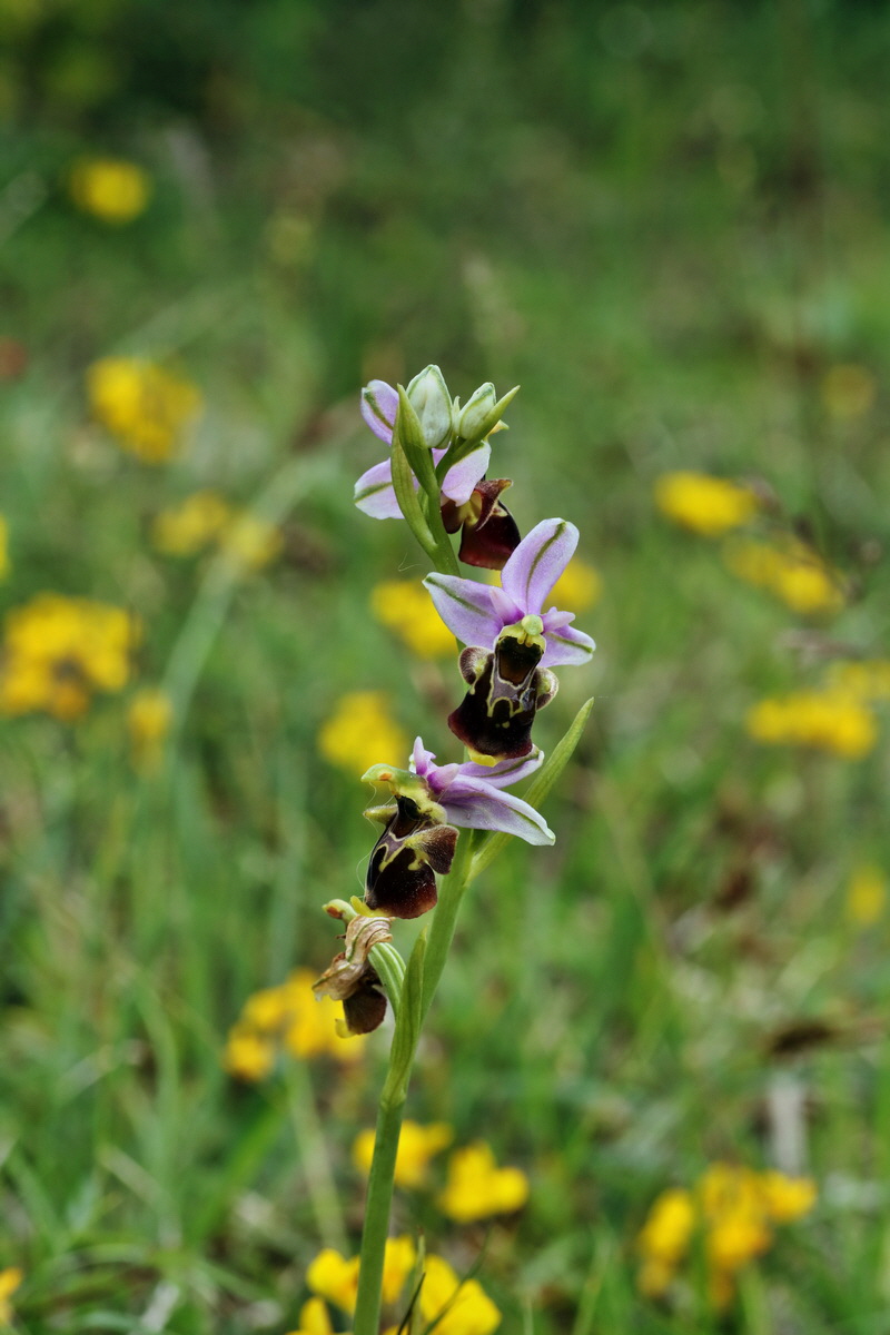 IMG-2015-06-01-00005645p_Bildgr��e �ndern