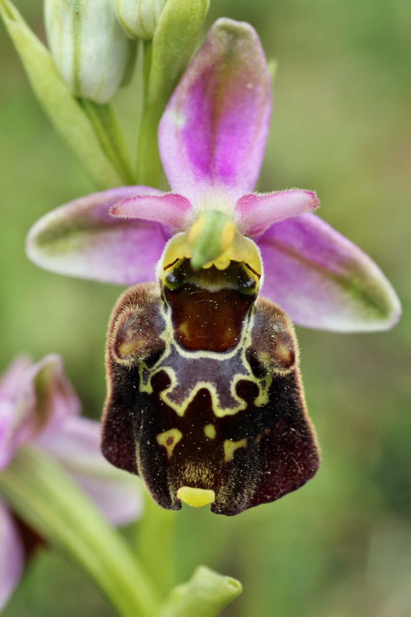 IMG-2015-06-01-00005650p_Bildgr��e �ndern