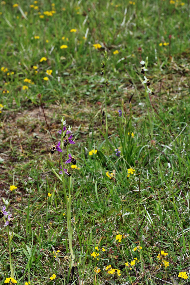 IMG-2015-06-01-00005652p_Bildgr��e �ndern