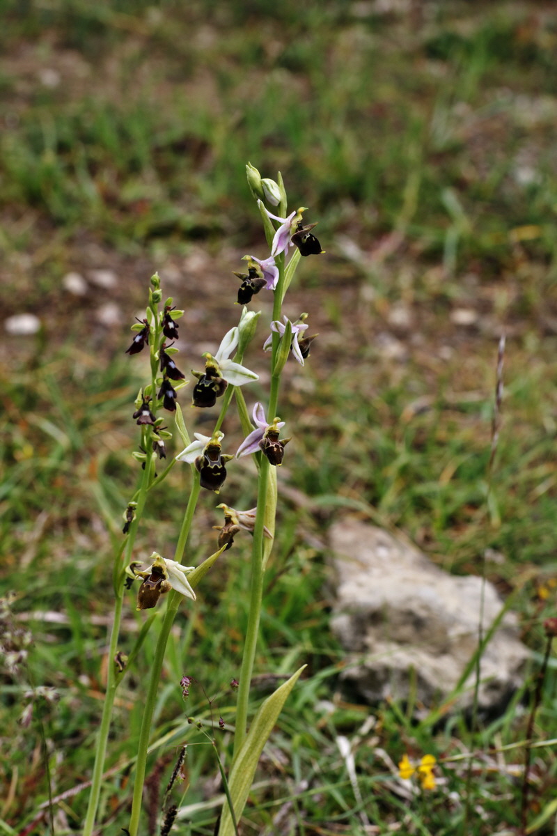 IMG-2015-06-01-00005654p_Bildgr��e �ndern