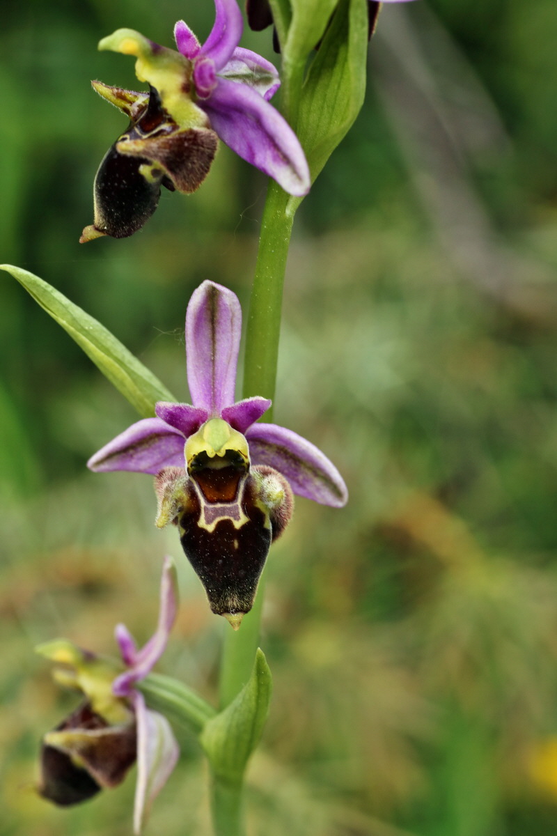 IMG-2015-06-01-00005660p_Bildgr��e �ndern