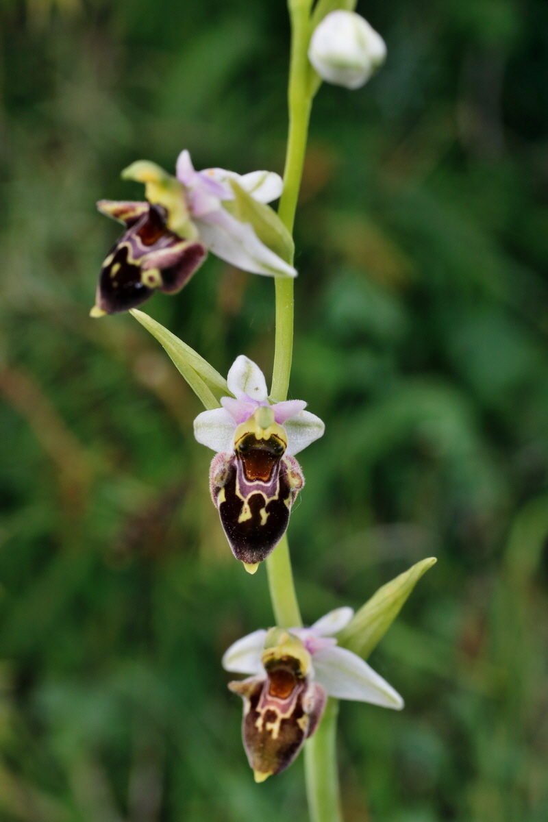 IMG-2015-06-01-00005663p_Bildgr��e �ndern