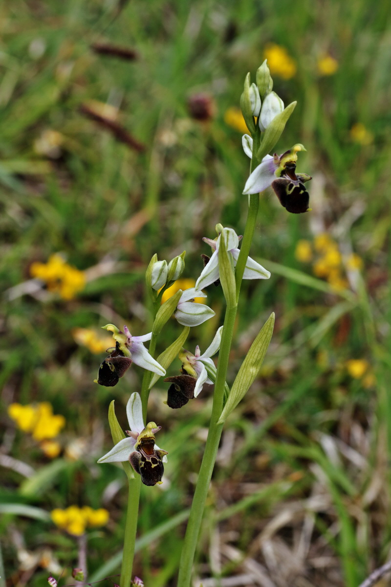 IMG-2015-06-01-00005666p_Bildgr��e �ndern