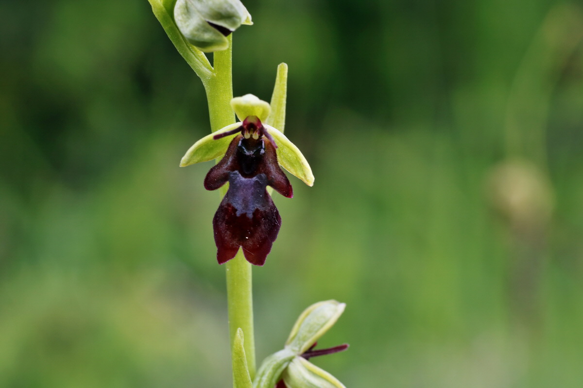 IMG-2015-06-01-00005670p_Bildgr��e �ndern