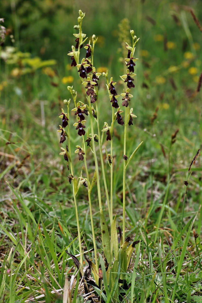 IMG-2015-06-01-00005671p_Bildgr��e �ndern