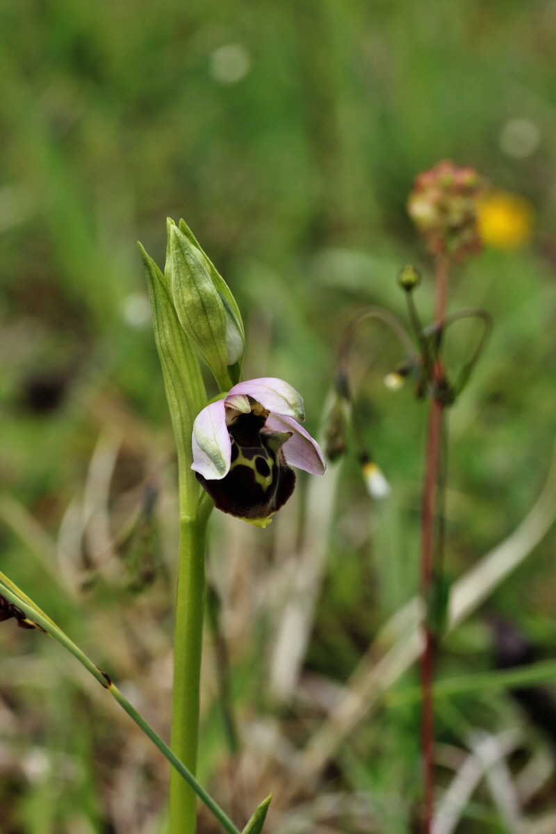 IMG-2015-06-01-00005675p_Bildgr��e �ndern