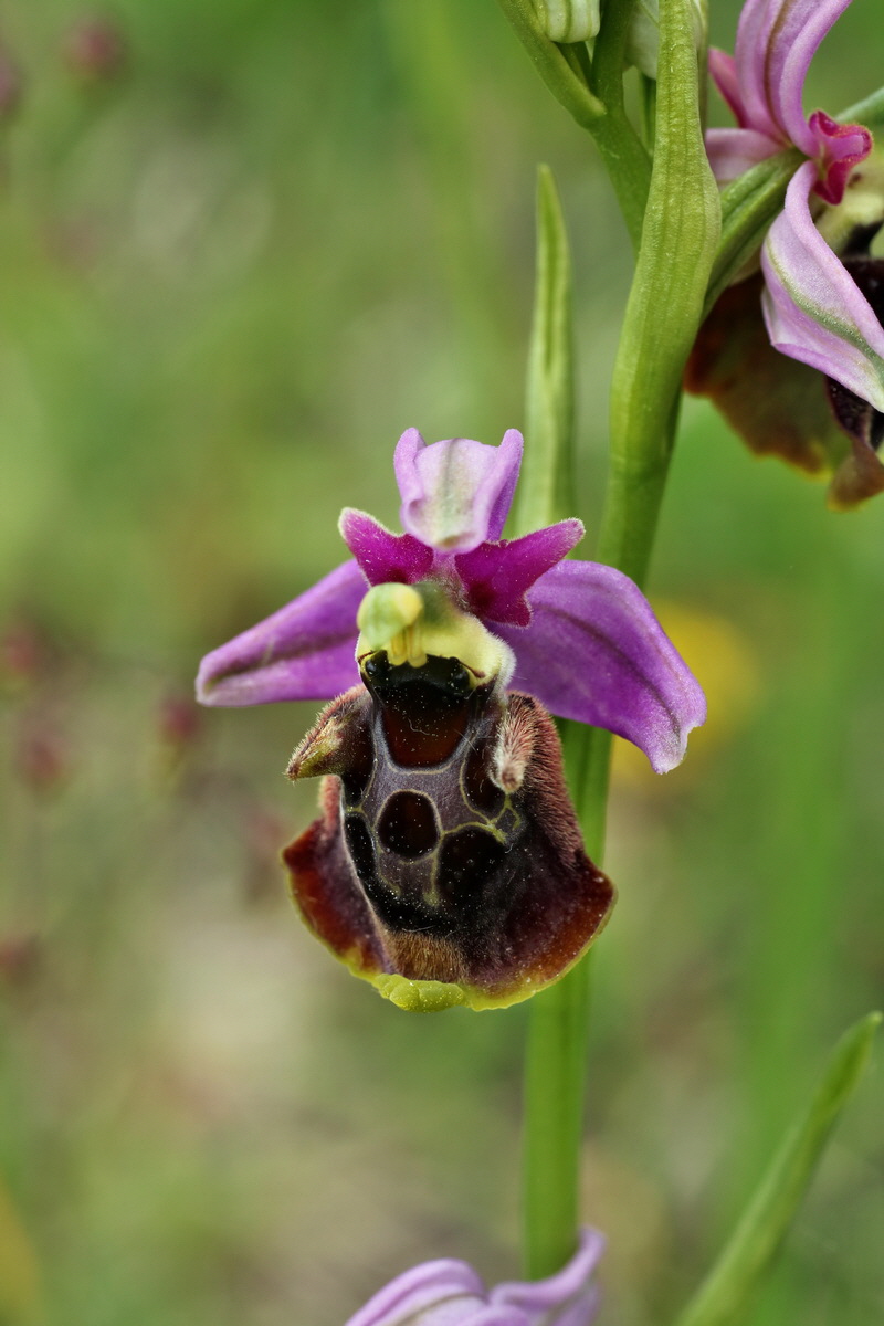 IMG-2015-06-01-00005682p_Bildgr��e �ndern