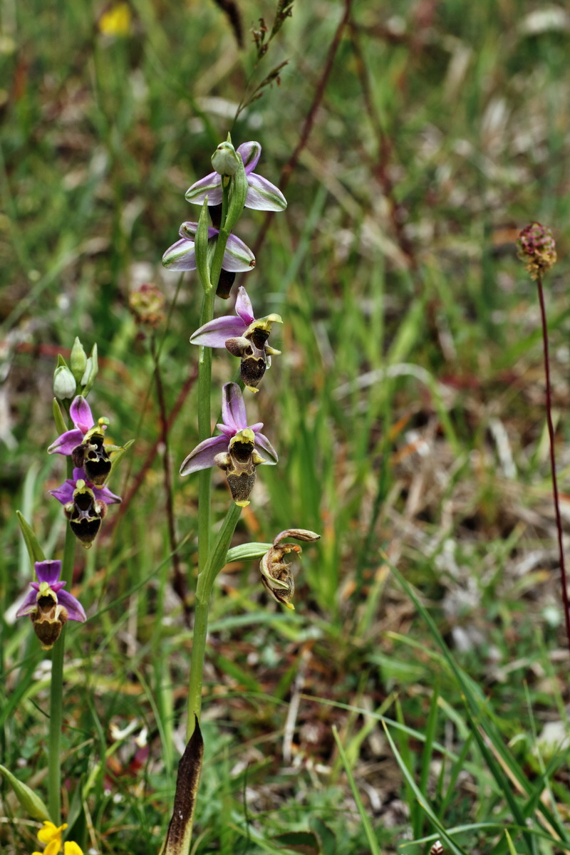 IMG-2015-06-01-00005703p_Bildgr��e �ndern