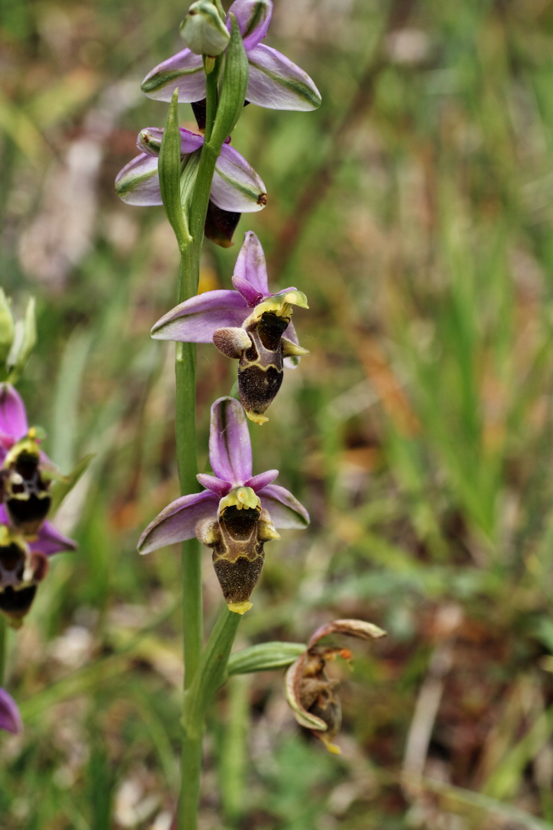 IMG-2015-06-01-00005705p_Bildgr��e �ndern