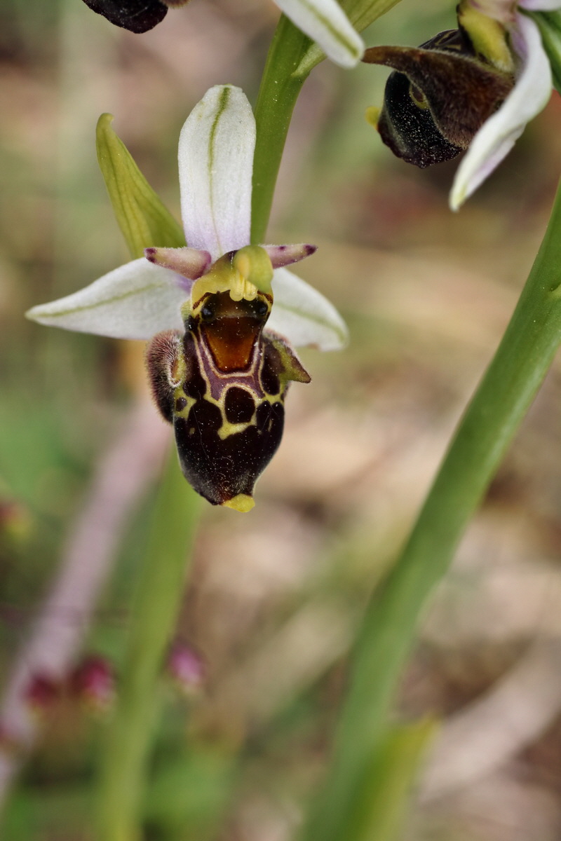 IMG-2015-06-01-00005711p_Bildgr��e �ndern