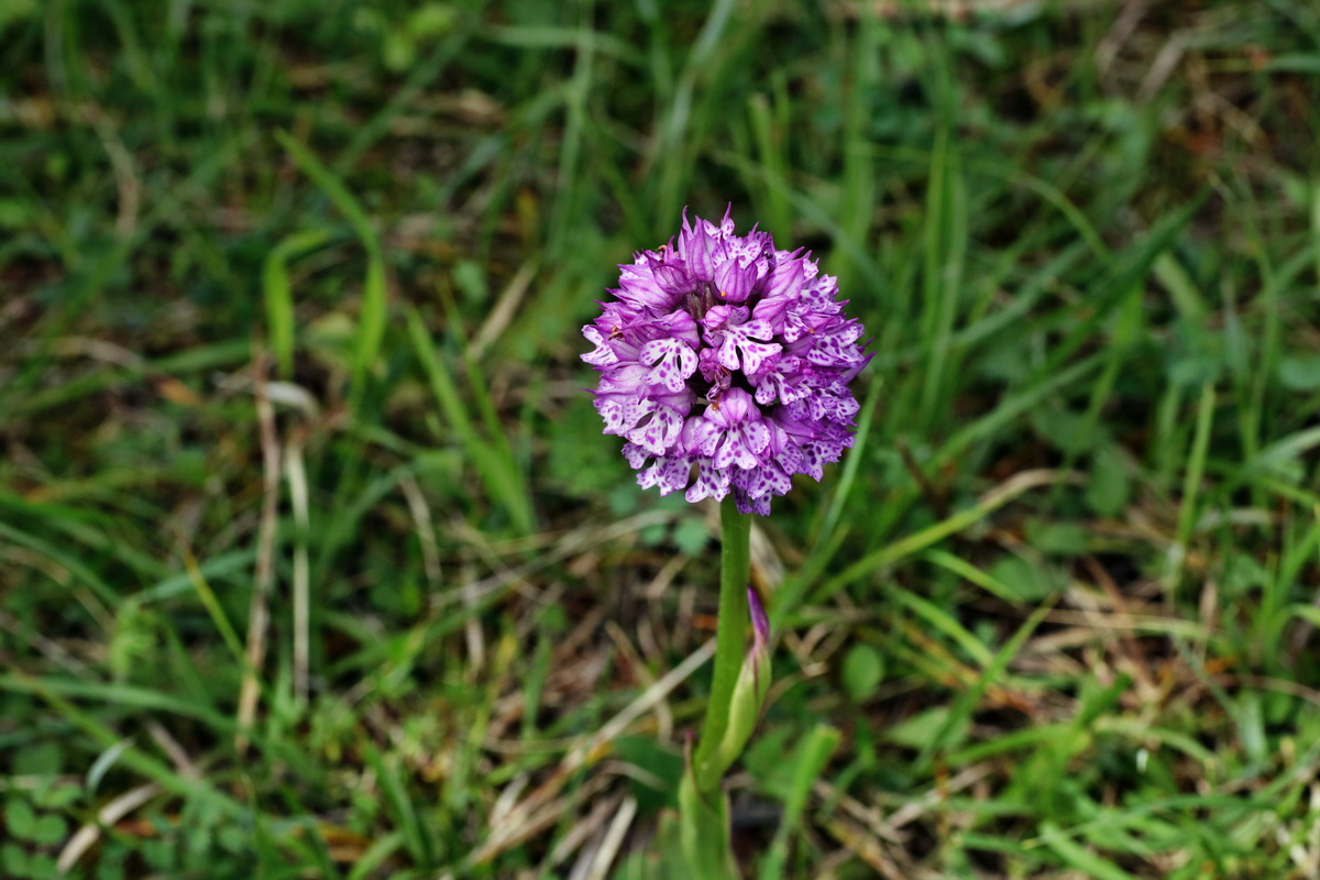 IMG-2015-06-01-00005713p_Bildgr��e �ndern