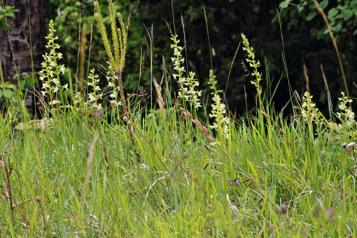 IMG-2015-06-01-00005719p_Bildgr��e �ndern