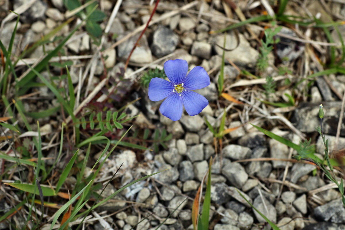 IMG-2015-06-01-00005724p_Bildgr��e �ndern