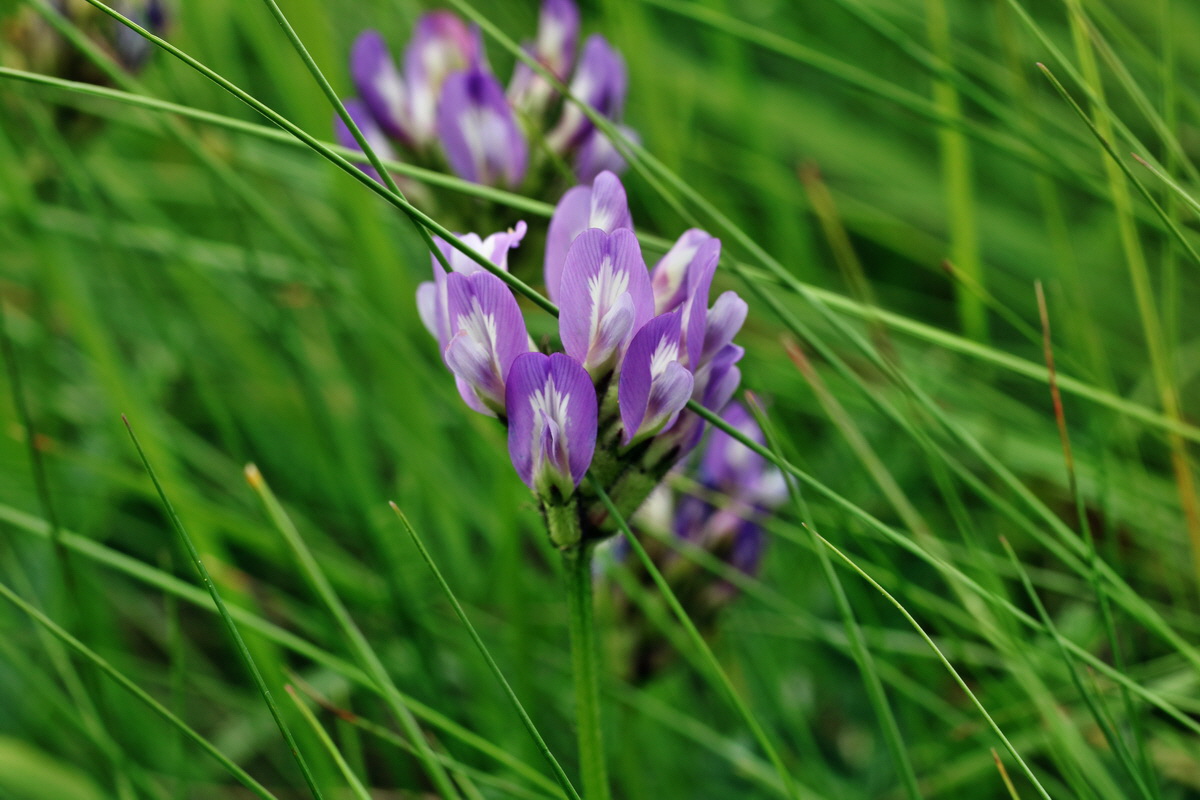 IMG-2015-06-03-00005735p_Bildgr��e �ndern