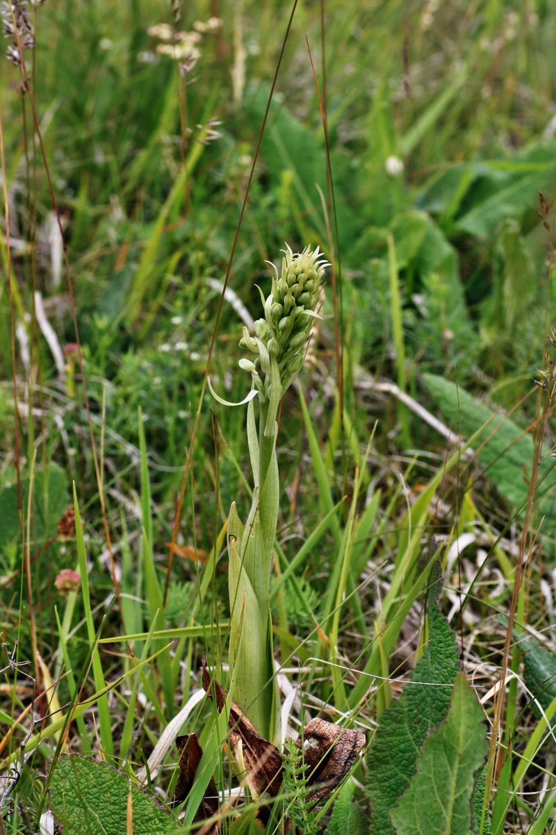 IMG-2015-06-03-00005746p_Bildgr��e �ndern