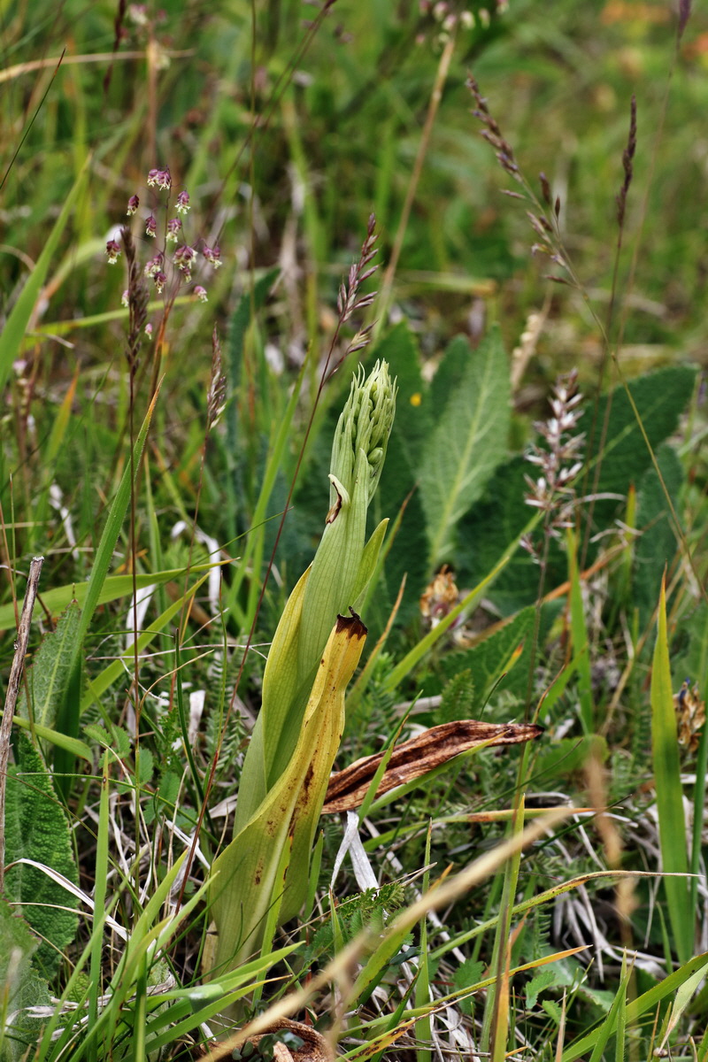 IMG-2015-06-03-00005749p_Bildgr��e �ndern