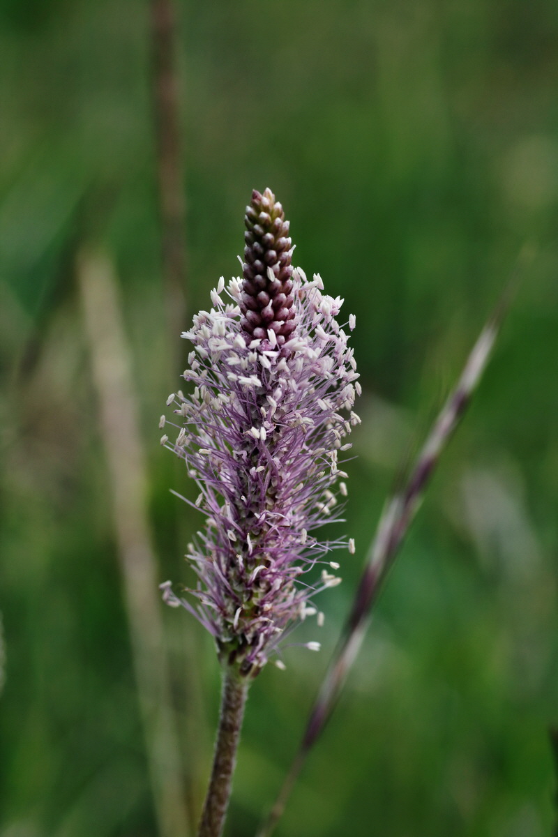 IMG-2015-06-03-00005752p_Bildgr��e �ndern