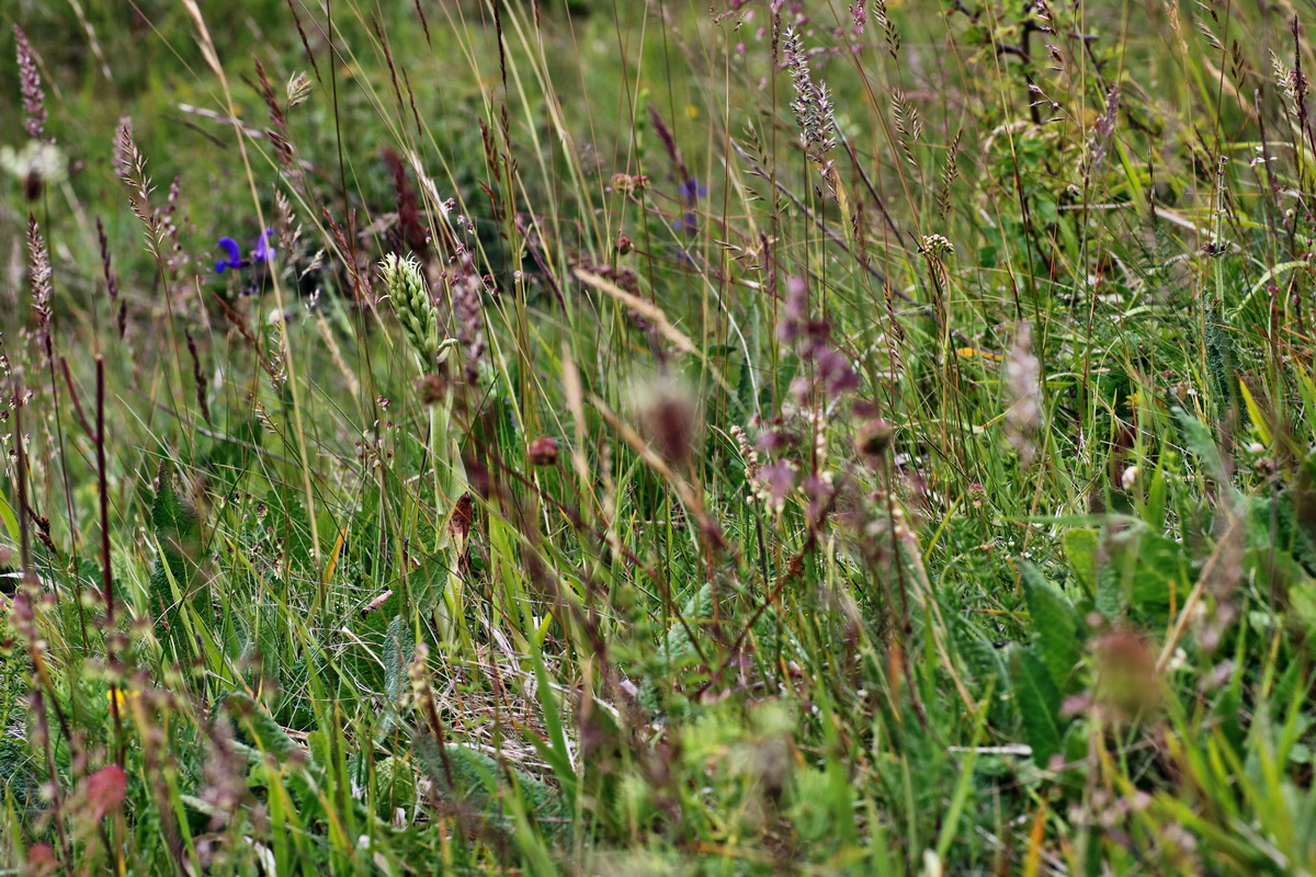 IMG-2015-06-03-00005755p_Bildgr��e �ndern