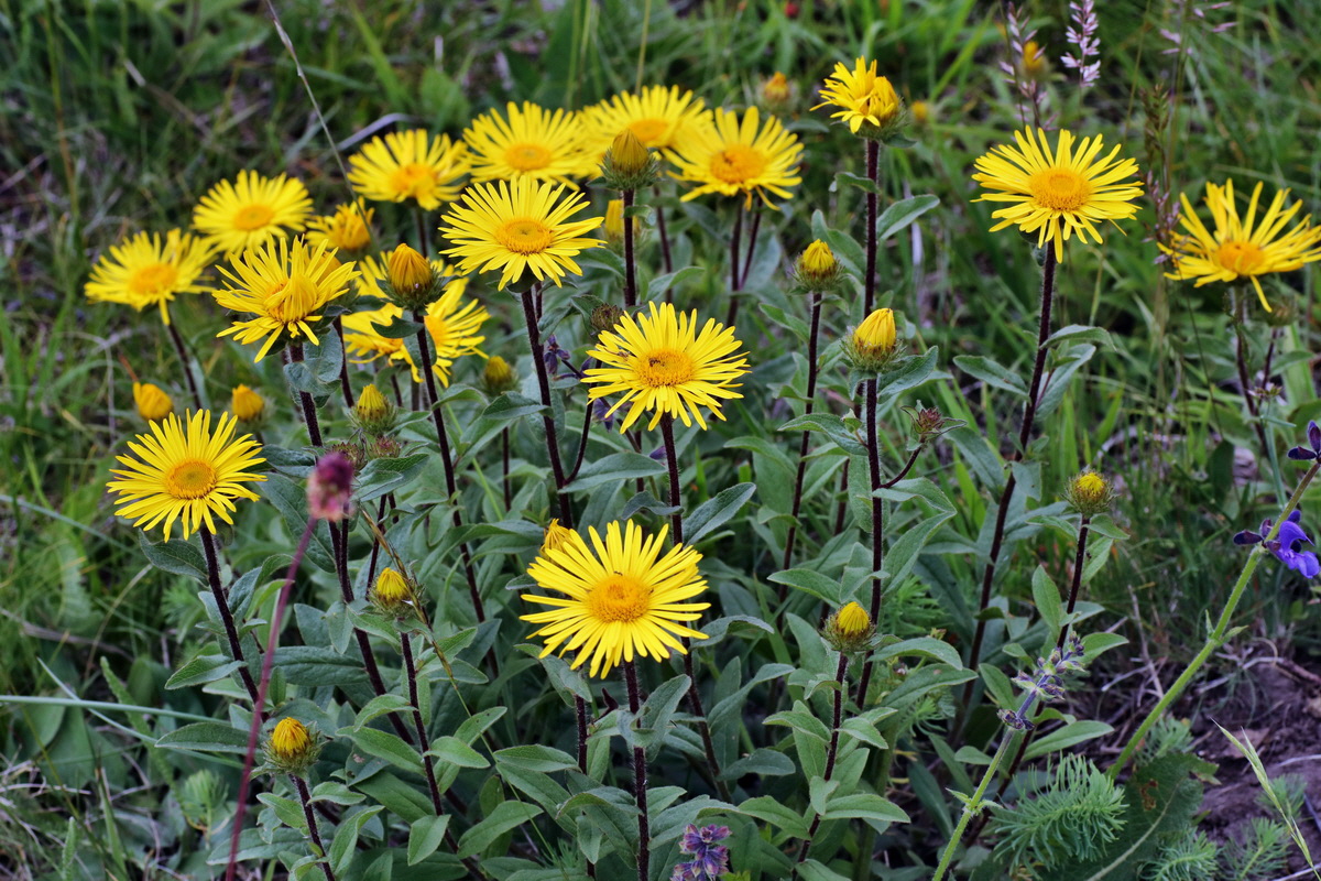 IMG-2015-06-03-00005759p_Bildgr��e �ndern