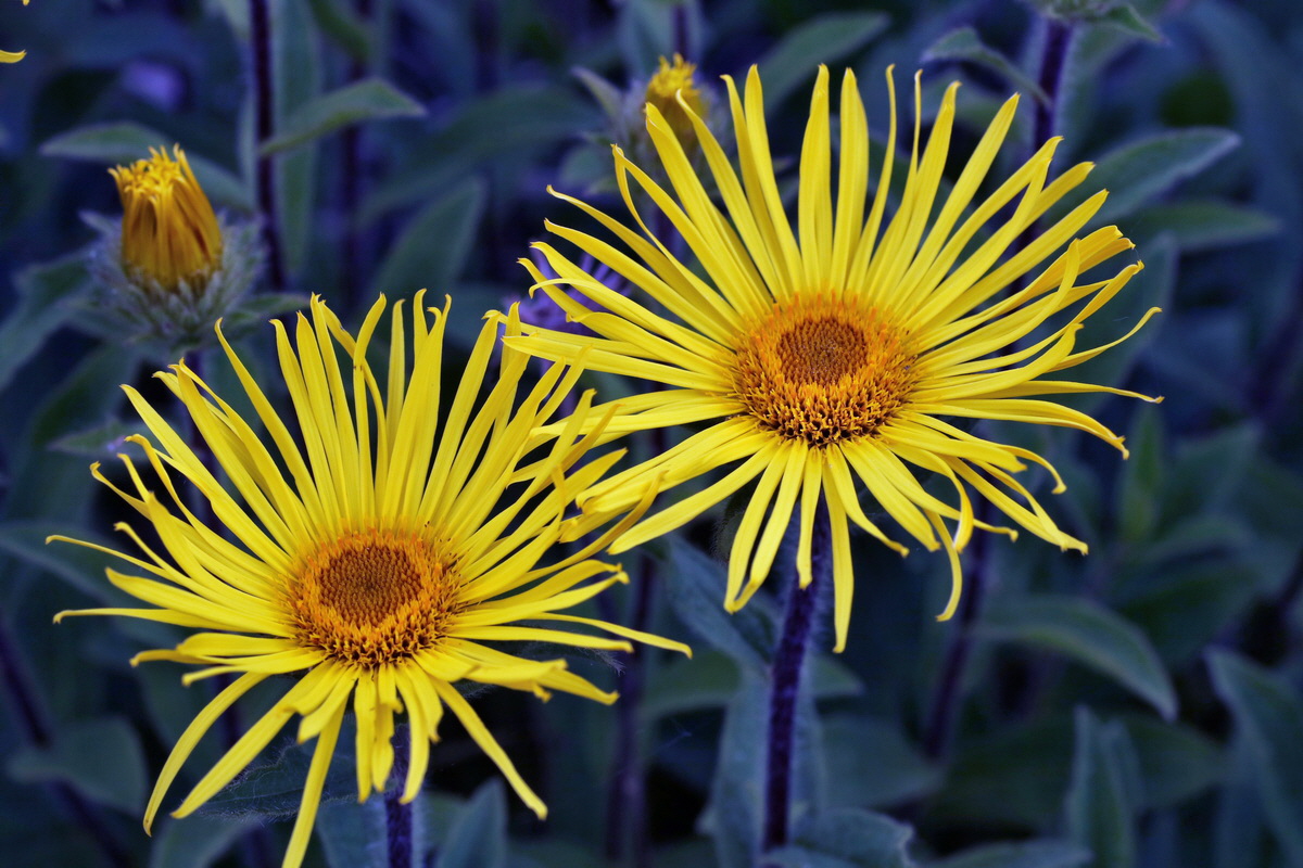 IMG-2015-06-03-00005768p_Bildgr��e �ndern