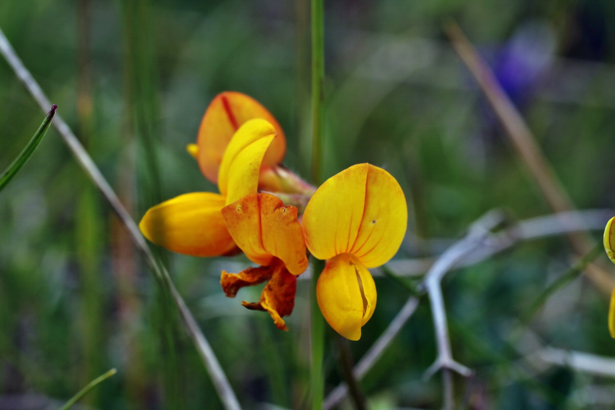 IMG-2015-06-03-00005771p_Bildgr��e �ndern