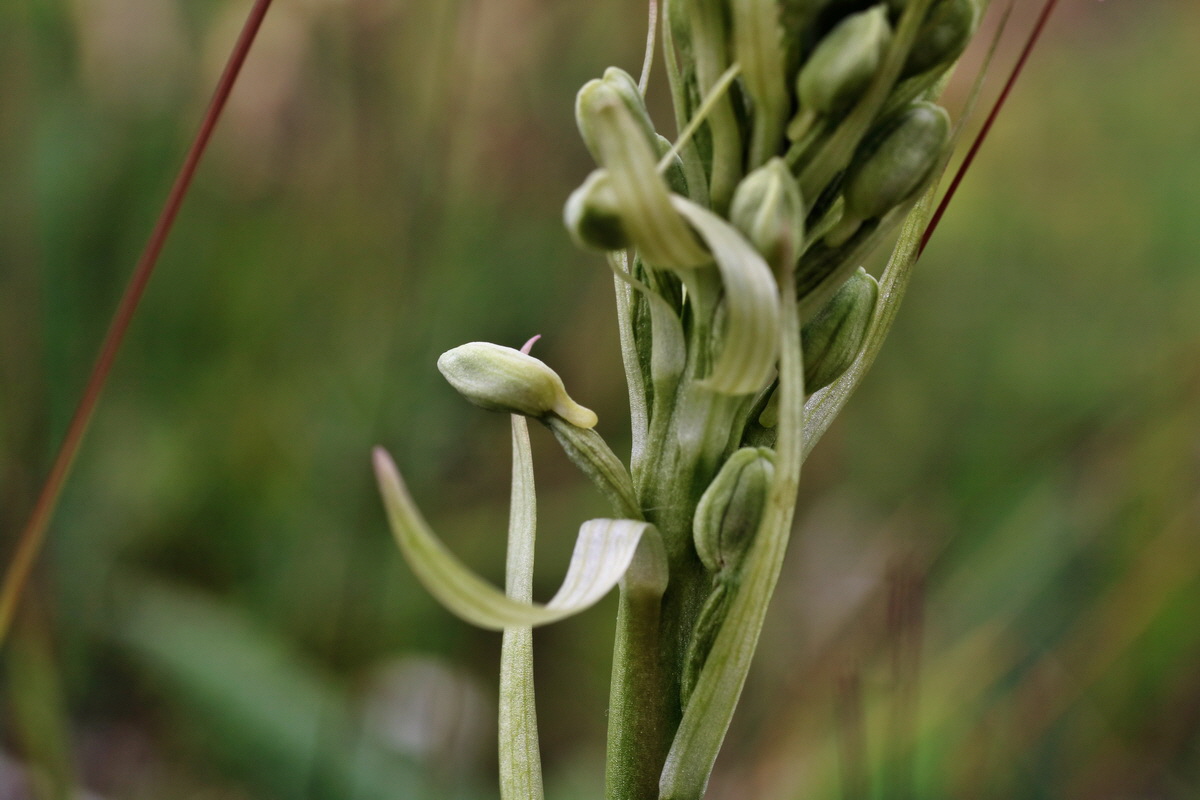 IMG-2015-06-03-00005774p_Bildgr��e �ndern