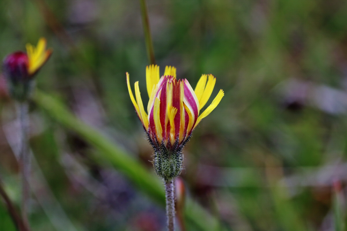 IMG-2015-06-03-00005780p_Bildgr��e �ndern