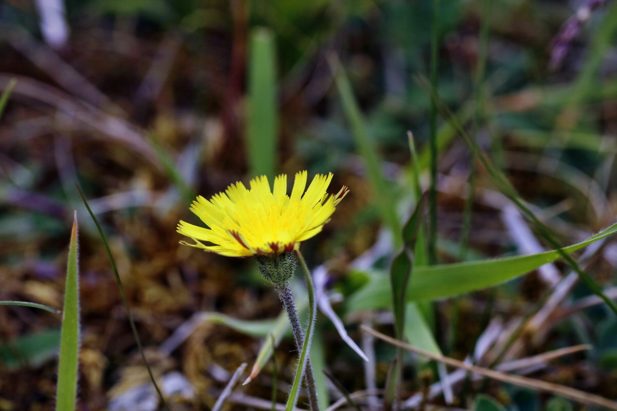 IMG-2015-06-03-00005783p_Bildgr��e �ndern