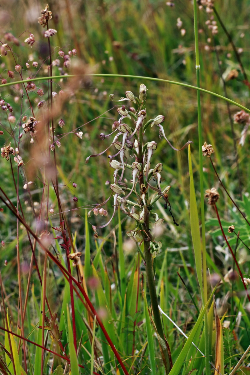 IMG-2015-06-26-00005806p_Bildgr��e �ndern