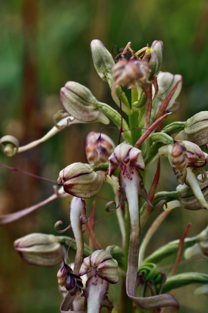 IMG-2015-06-26-00005812p_Bildgr��e �ndern