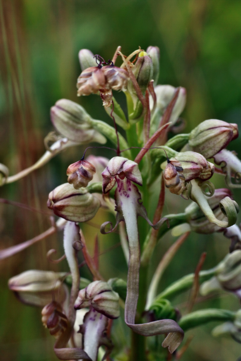 IMG-2015-06-26-00005817p_Bildgr��e �ndern