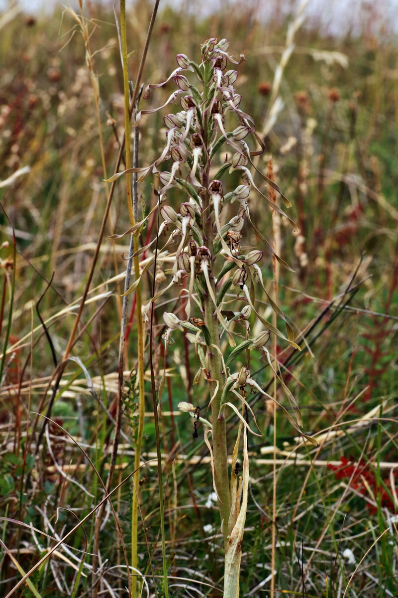 IMG-2015-06-26-00005828p_Bildgr��e �ndern