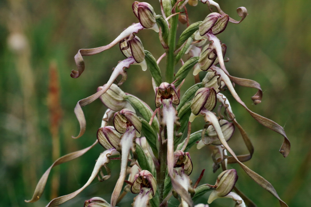 IMG-2015-06-26-00005837p_Bildgr��e �ndern