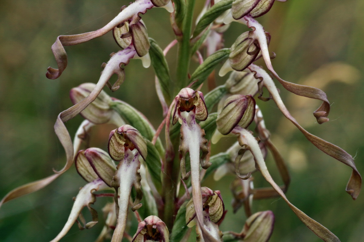 IMG-2015-06-26-00005841p_Bildgr��e �ndern