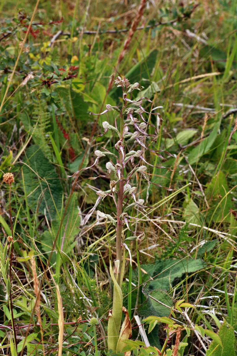 IMG-2015-06-26-00005844p_Bildgr��e �ndern