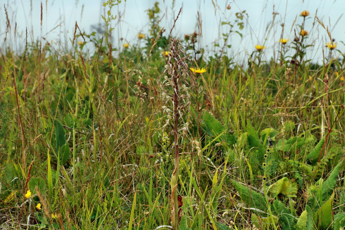 IMG-2015-06-26-00005848p_Bildgr��e �ndern