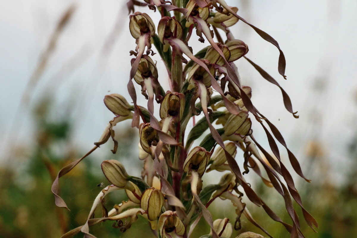 IMG-2015-06-26-00005855p_Bildgr��e �ndern