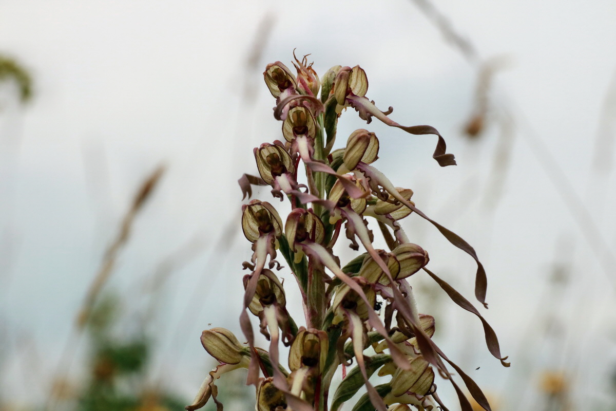 IMG-2015-06-26-00005857p_Bildgr��e �ndern