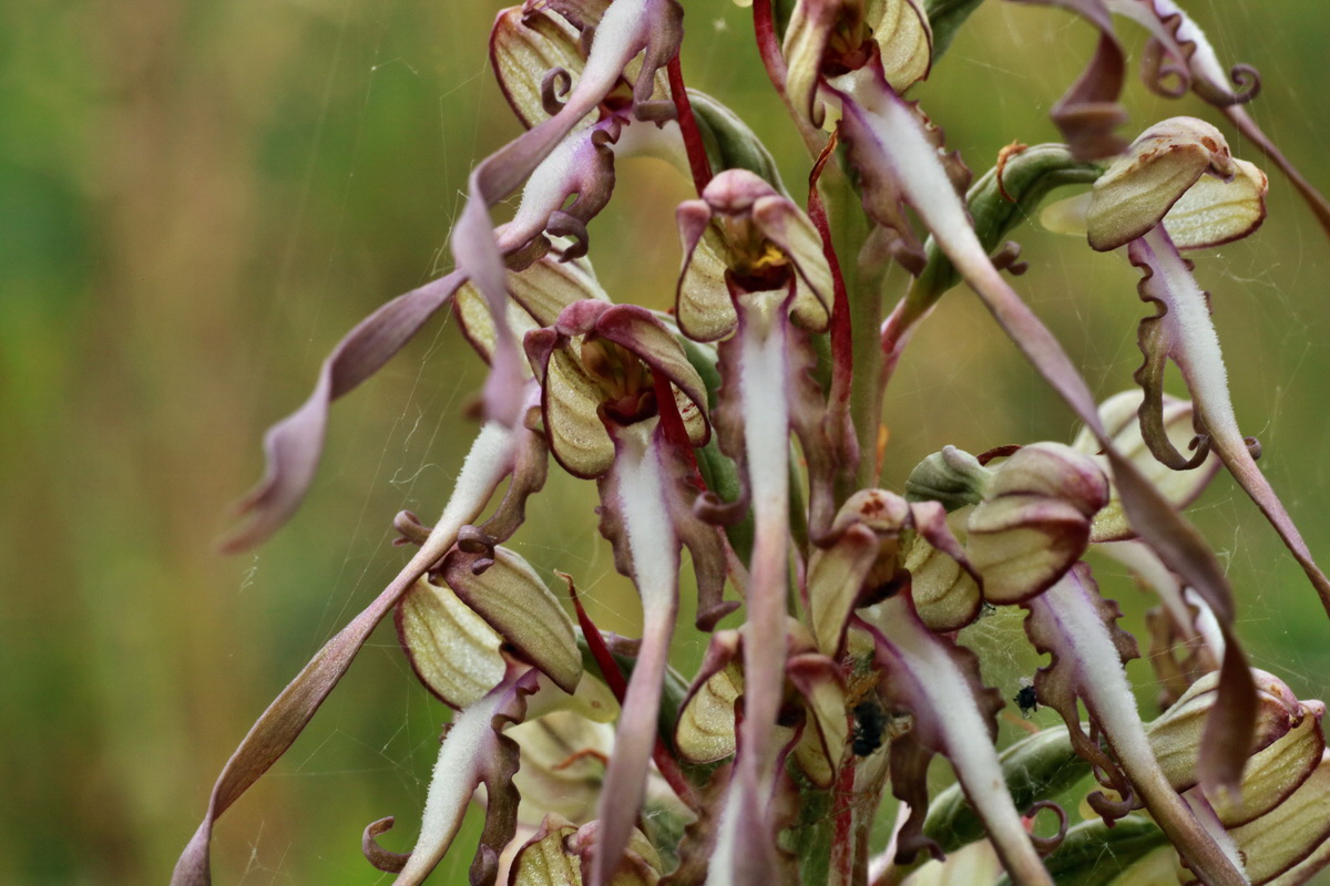 IMG-2015-06-26-00005862p_Bildgr��e �ndern